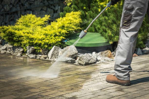 Best Winterizing Services  in Alamosa, CO