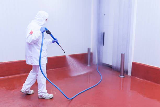 Best Rust Removal  in Alamosa, CO