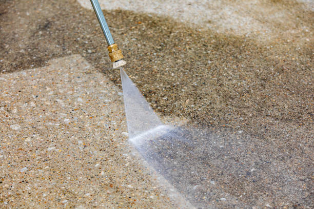 Best Sidewalk and Walkway Cleaning  in Alamosa, CO